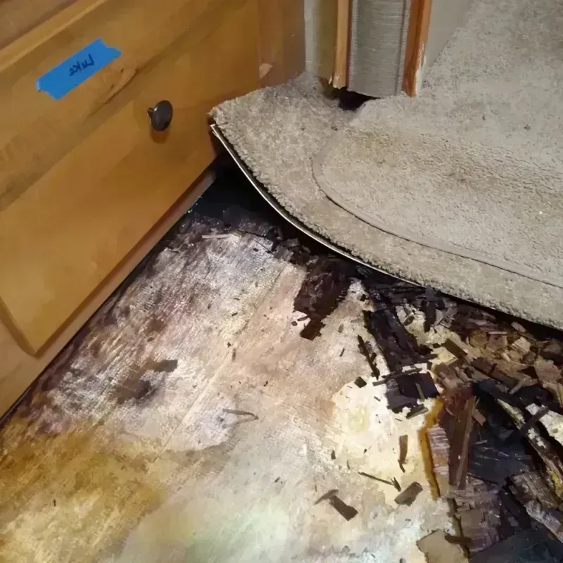 Wood Floor Water Damage in Eastpointe, MI